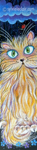 Bibi le chat